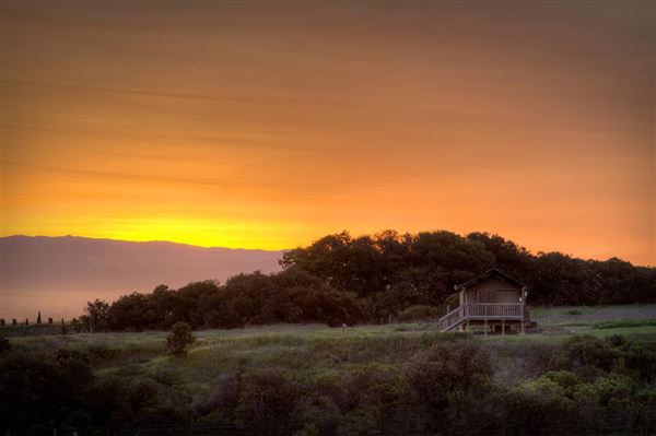 Vision Quest Ranch - Monterey Zoological Society (11/7/2022 - Credits: Charlie Sammut)