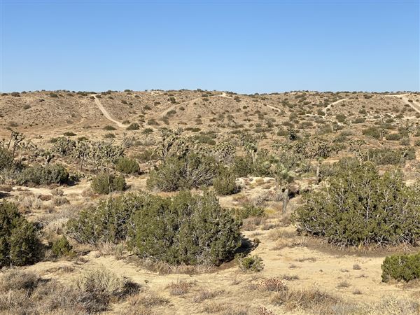 Carr Canyon Ranch (12/20/2022 - Credits: James Baumgartner)