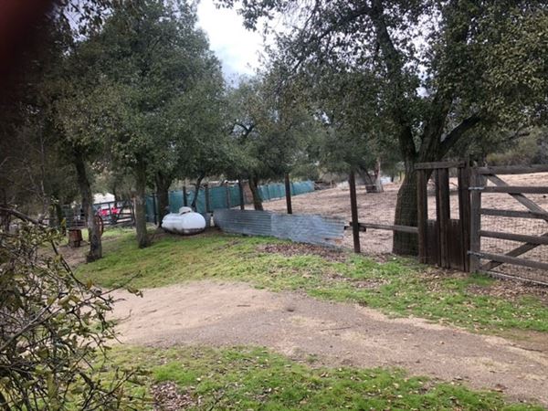 Red Thorne Ranch / The Barn Loft / Mini Petting Zoo (3/23/2023 - Credits: Amber Thorne)