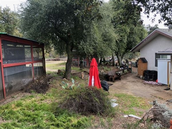 Red Thorne Ranch / The Barn Loft / Mini Petting Zoo (3/23/2023 - Credits: Amber Thorne)