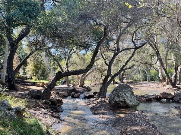 Canyon Ranch (4/3/2023 - Credits: Provided by Julie Hoffman)