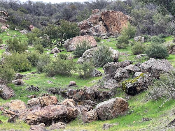 Canyon Ranch (4/3/2023 - Credits: Provided by Julie Hoffman)