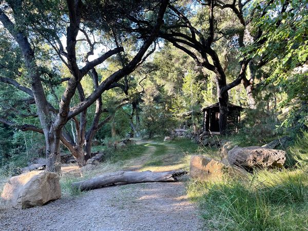 Canyon Ranch (4/3/2023 - Credits: Provided by Julie Hoffman)