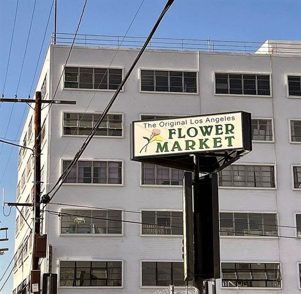 The Original Los Angeles Flower Market (6/15/2023)