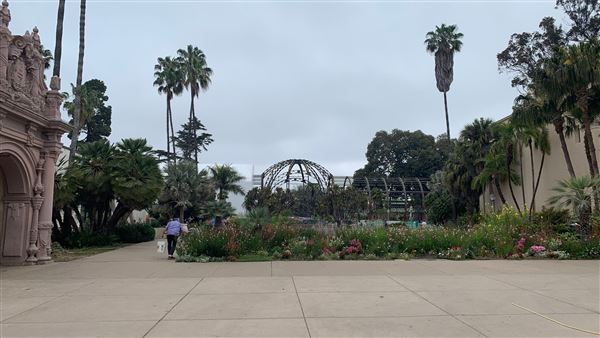 Balboa Park (5/20/2023 - Credits: Brandy Davis)