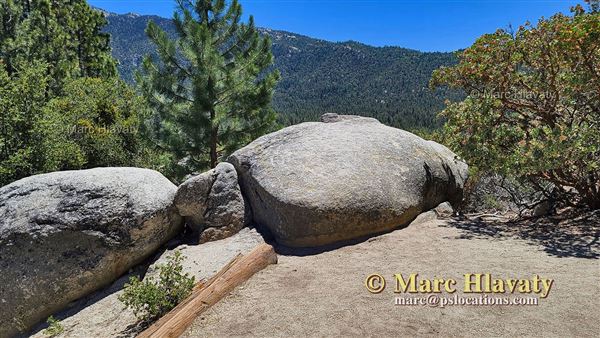 Idyllwild Nature Center - Forest (7/5/2023 - Credits: Marc Hlavaty)