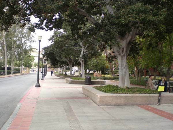 University of California, Los Angeles - UCLA (8/4/2023 - Credits: University of California, Los Angeles - UCLA)