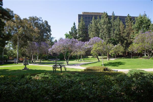 University of California, Los Angeles - UCLA (8/4/2023 - Credits: University of California, Los Angeles -UCLA)