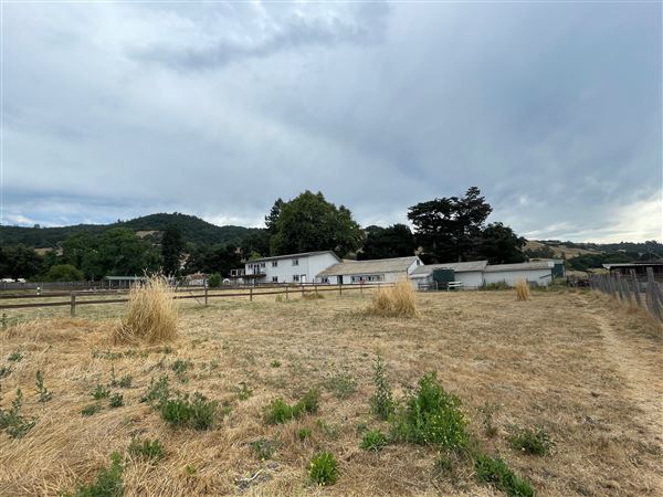Petaluma Hill Farm (4/26/2023 - Credits: Heidi Umber)