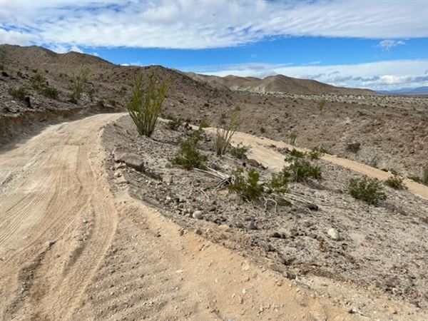 Borrego Spring Mountain Ranch (8/15/2023 - Credits: Caleb Sevian)