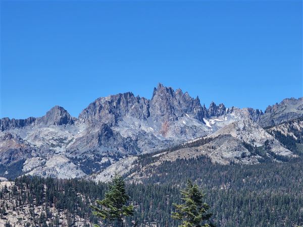 Cinnamon Bear Inn - Mammoth Lakes (8/13/2022 - Credits: Cinnamon Bear Inn)