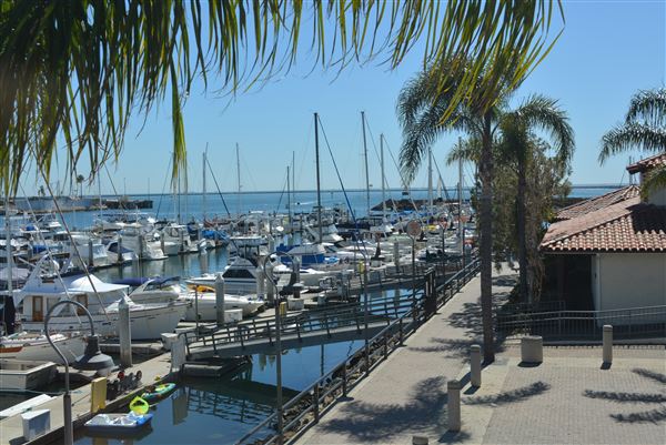 Cabrillo Marina (11/3/2023 - Credits: submitted by: Henry Rivas)