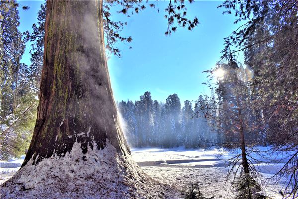Sequoia and Kings Canyon National Parks & Crystal Cave - Round Meadow (12/30/2019 - Credits: Sequoia and Kings Canyon National Parks)