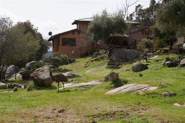 Stone Meadows Ranch (11/29/2023 - Credits: Photo Courtesy of Thomas Levin)
