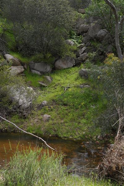 Stone Meadows Ranch (11/29/2023 - Credits: Photo Courtesy of Thomas Levin)