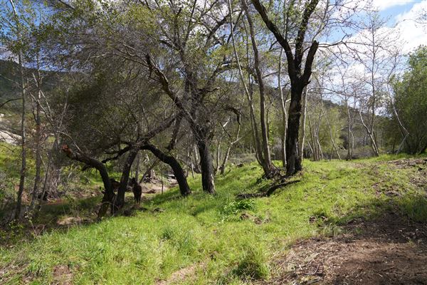 Stone Meadows Ranch (11/29/2023 - Credits: Photo Courtesy of Thomas Levin)