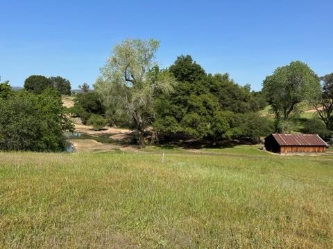 Olive Ranch (5/10/2022 - Credits: Placer County)