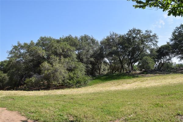 Olive Ranch (7/14/2022)