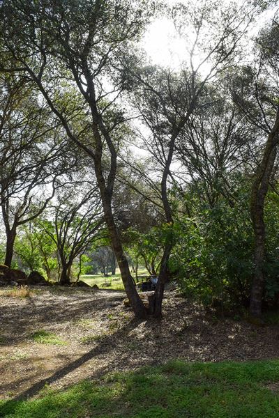 Olive Ranch (7/14/2022)