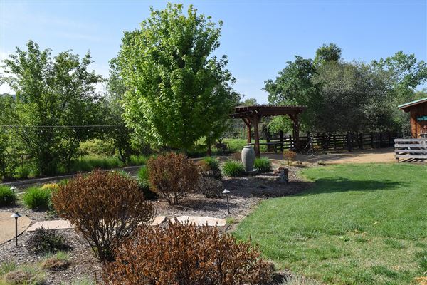Olive Ranch (7/14/2022)