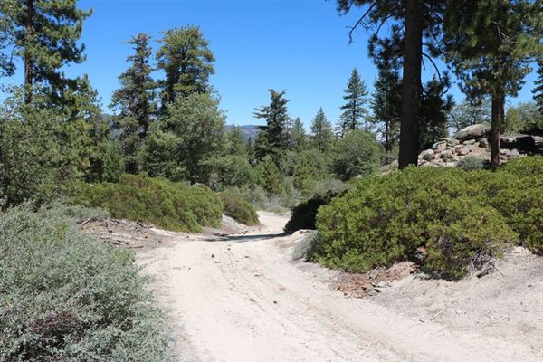 Camp Cedar Lake (1/18/2024 - Credits: Photo Courtesy of Big Bear Locations)