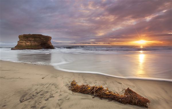 Natural Bridges State Beach (SB) - Natural Bridges State Beach Sunset (1/1/2015 - Credits: James Wang)