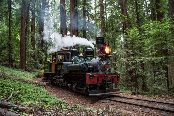 Roaring Camp Railroad - Roaring Camp Railroads Steam Train (1/1/2014 - Credits: Walter Scriptunas - 2014)