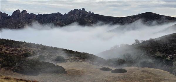 Pinnacles National Park - NPS (3/5/2024 - Credits: Chris Symons)