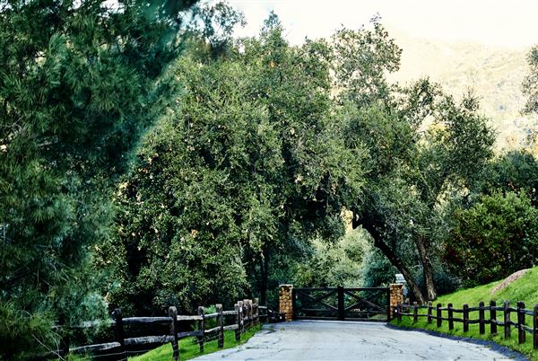 Elsewhere Topanga - THE GATEHOUSE (1/24/2020 - Credits: Margaret Mentaberry)
