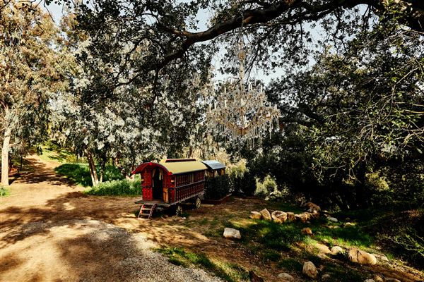 Elsewhere Topanga (1/24/2020 - Credits: Margaret Mentaberry)