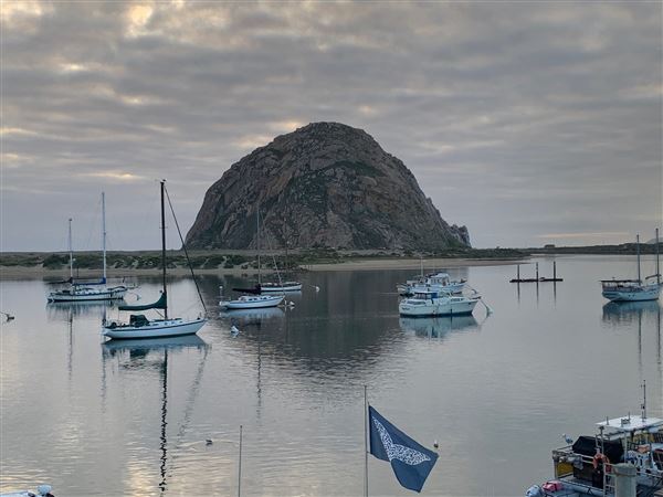 Morro Bay Harbor (4/24/2024 - Credits: Brandy Davis)