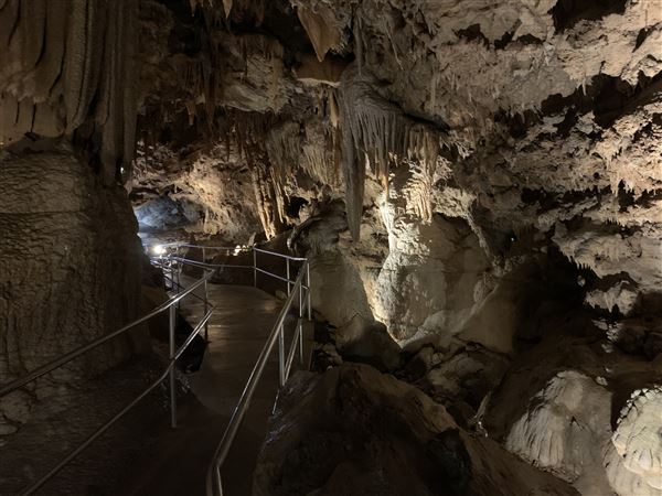 20359 Shasta Caverns Road (5/5/2024 - Credits: Brandy Davis)