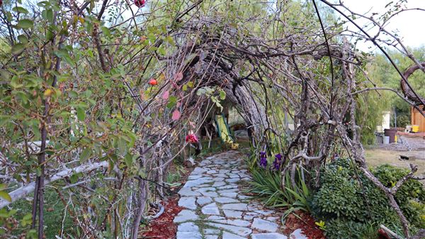 Tranquility Canyon Movie Ranch (5/28/2024 - Credits: Scott Lewis)