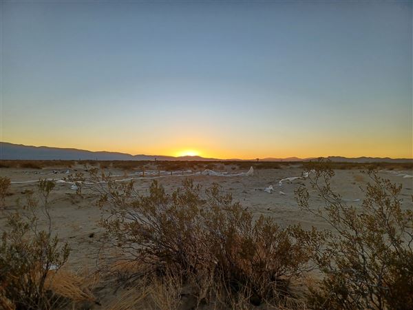 Desert Bliss (6/17/2023 - Credits: Ora Beth Nance)