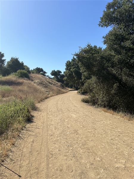 Malibu Creek State Park (SP) - Crags Road (6/26/2024 - Credits: Brandy Davis)