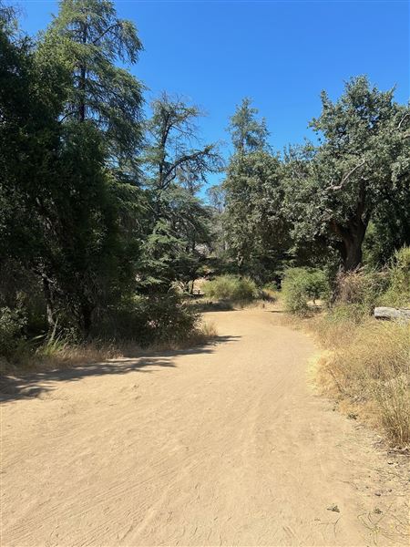 Malibu Creek State Park (SP) - Crags Road (6/26/2024 - Credits: Brandy Davis)