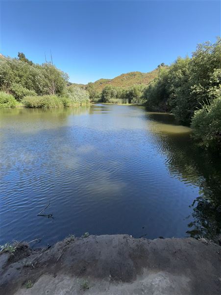 Malibu Creek State Park (SP) - Century Lake (6/26/2024 - Credits: Brandy Davis)