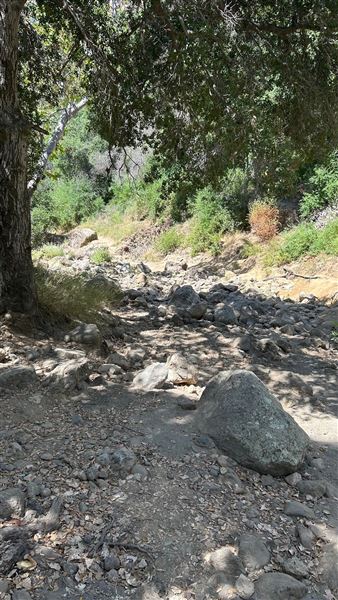 Malibu Creek State Park (SP) - Rock Pool and trail (6/26/2024 - Credits: Brandy Davis)