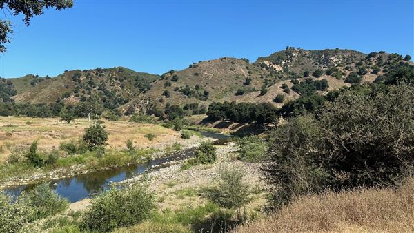 Malibu Creek State Park (SP) - Scenic Views from trail (6/26/2024 - Credits: Brandy Davis)