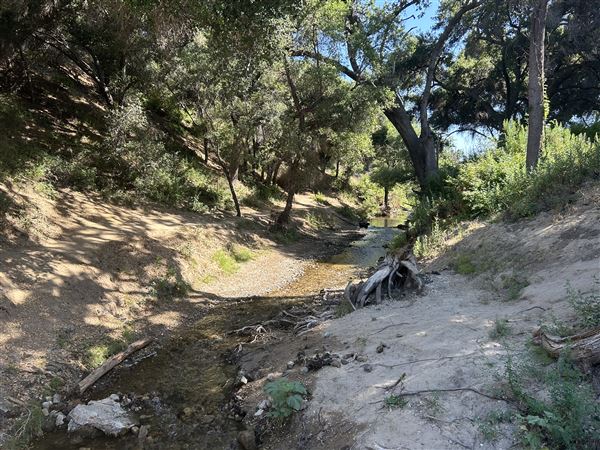 Malibu Creek State Park (SP) - Scenic Views from trail (6/26/2024 - Credits: Brandy Davis)