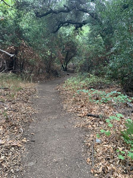 Cleveland National Forest (7/2/2024 - Credits: Public Affairs Officer Forest Service)