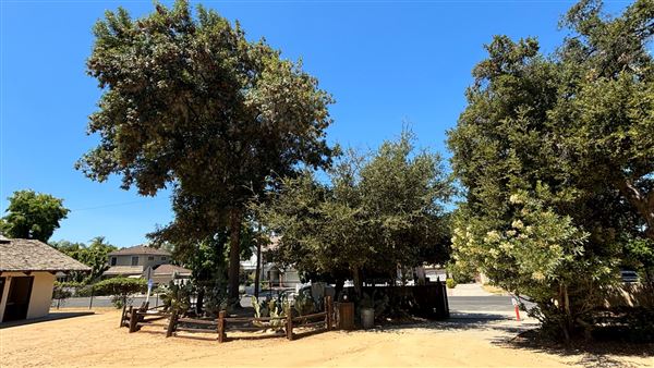 Los Encinos State Historic Park (SHP) adjacent to currently closed Lakeside Restaurant & Lounge (7/12/2024 - Credits: Brandy Davis)