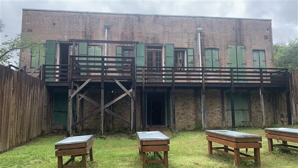 Shasta State Historic Park (SHP) (5/4/2024 - Credits: Brandy Davis)