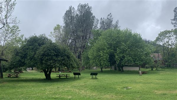 Shasta State Historic Park (SHP) (5/4/2024 - Credits: Brandy Davis)