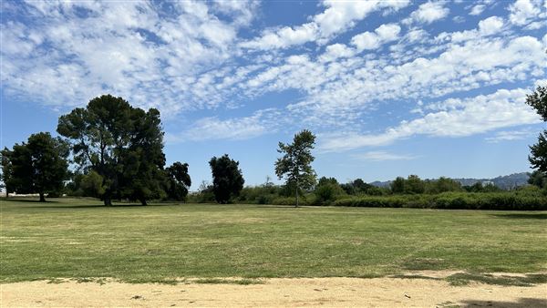Sepulveda Basin Wildlife Preserve / Woodley Park (8/2/2024 - Credits: Brandy Davis)