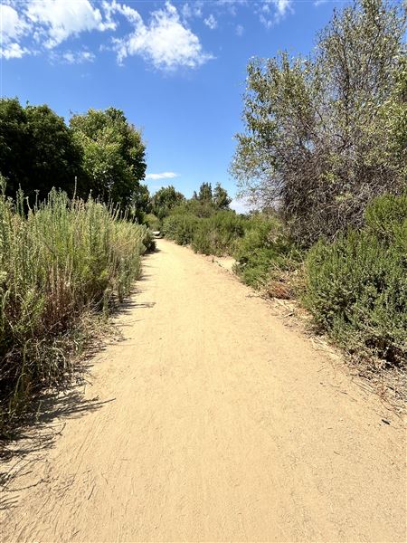 Sepulveda Basin Wildlife Preserve / Woodley Park - entrance and trail to lake/pond. (8/2/2024 - Credits: Brandy Davis)