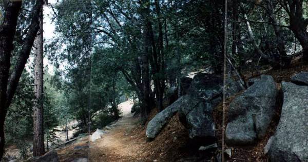 Humber Park (12/31/2003)
