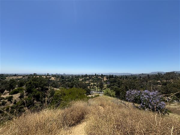 Elysian Park - Angels Point (6/22/2024 - Credits: Brandy Davis)
