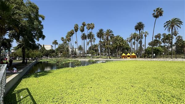 Echo Park Lake Recreation Center (9/17/2024 - Credits: Brandy Davis)