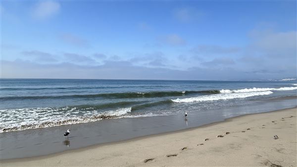 Santa Monica State Beach (SB) / Pacific Park Santa Monica Pier (10/2/2024 - Credits: Brandy Davis)